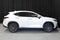 2024 Lexus NX 250 Base