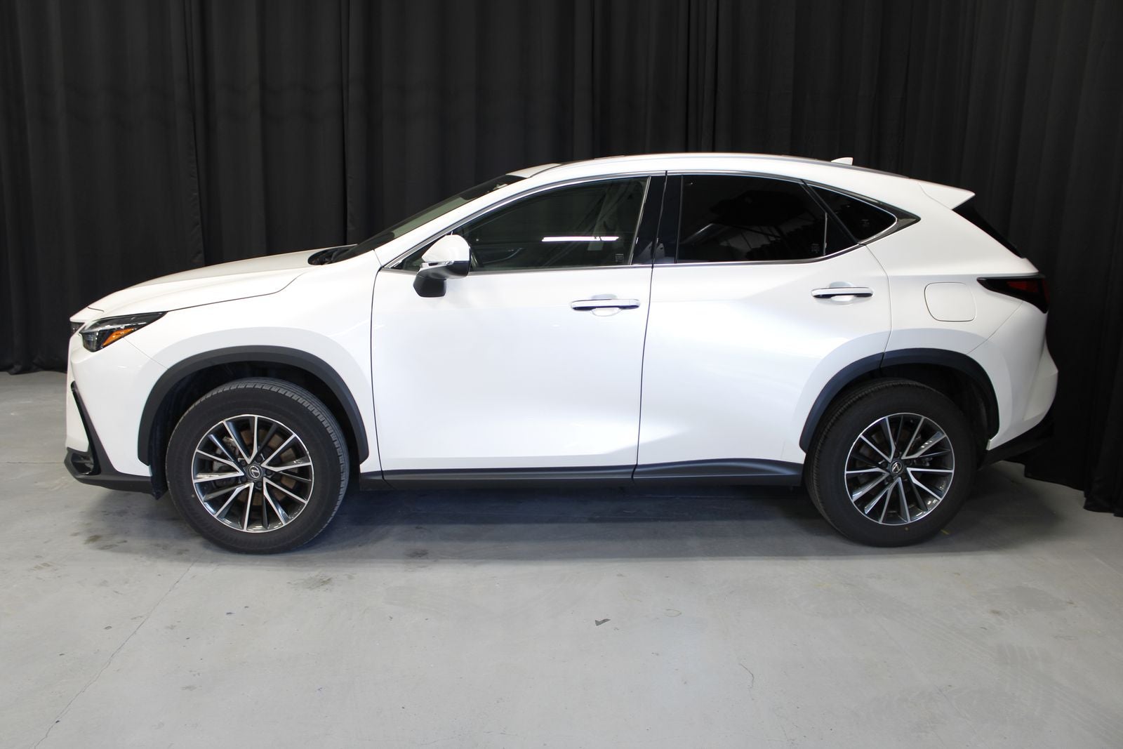2024 Lexus NX 250 Base